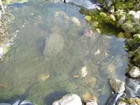 P1000445.webp