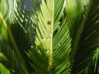 P1000449.webp