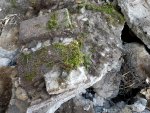 20170326_173719.jpg