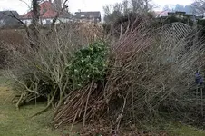 Vorher 0108a.jpg