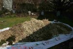 Vorher-Nachher 0913.jpg