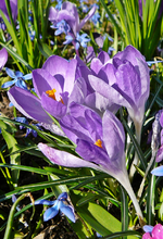 P1130381.webp