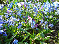P1130379.webp