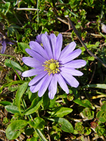P1130388.webp
