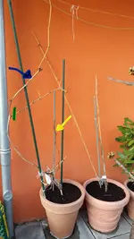 20170325_181222.2.webp