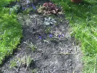 BILD6283.webp