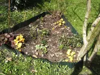 BILD6282.webp
