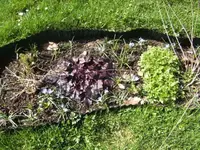 BILD6280.webp