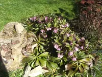 BILD6279.webp