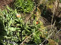BILD6281.webp