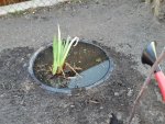 20170327_172850.jpg
