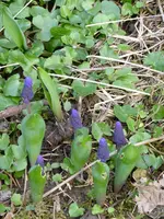 P1040760.webp
