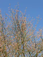 P1040802.webp