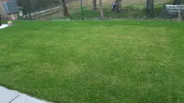 20170327_190945.webp