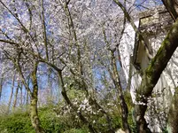 P1040811.webp