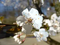 P1040812.webp
