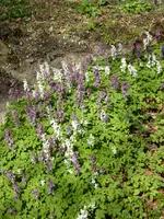 P1040820.webp