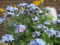 IMG_0016.webp
