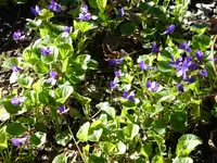 P1040848.webp