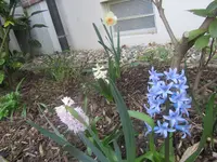 IMG_0019.webp