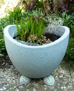 Beton_2Käfer_Topf.webp