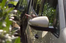 _MG_6879.webp _MG_6879.webp