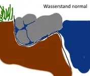 Teich 04.webp Teich 04.webp