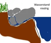 Teich 05.webp Teich 05.webp