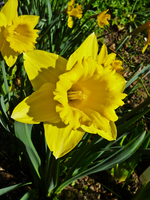 P1130397.webp