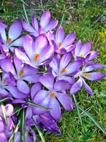 P1130401.webp