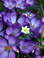 P1130402.webp