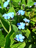 P1130411.webp