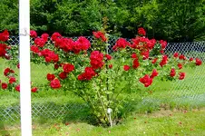 2016_07233april20160002.webp