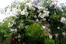 2016_07233april20160009.webp