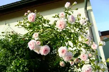 2016_1013162okt0031.webp