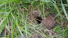 20170329_120446.webp