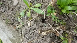 20170329_120352.webp