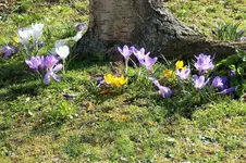 100_3694.webp