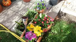 20170329_153623_resized_1.webp