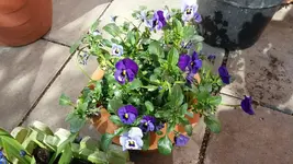 20170329_153618_resized_1.webp