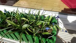 20170329_153651_resized_1.webp