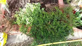 20170329_153734_resized_1.webp
