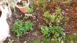 20170329_153800_resized_1.webp