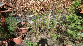 20170329_153950_resized_1.webp