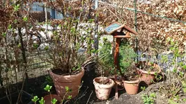 20170329_153955_resized.webp