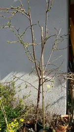 20170329_154002_resized.webp