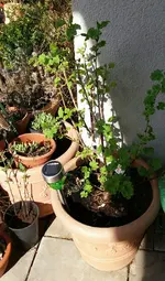 20170329_154015-1_resized_2.webp