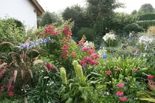 Terasse1515.webp