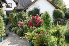Terasse2615.webp