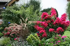 Terasse3115.webp